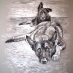 Chiens-Loup