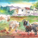 Bélier et Moutons à Akrotiri